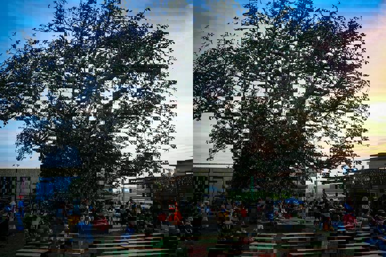 City Hosts All-Night Science Festival With Stargazing and Hands-On Labs