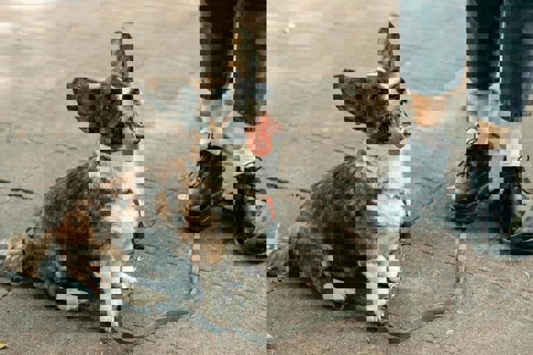 Scorched $100 Bills Puzzling Residents as Damaged Cash Appears on City Streets